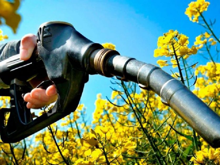 Biocombustibles - A no olvidar