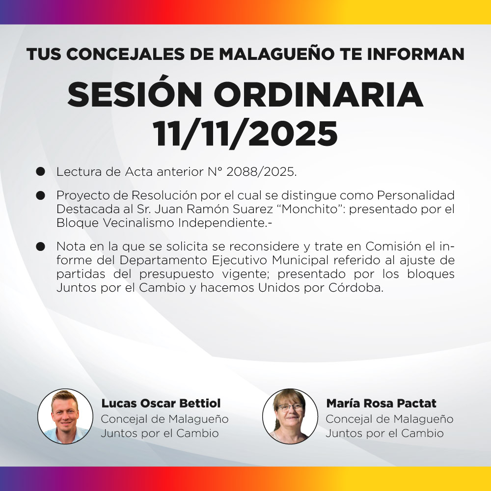 Sesión ordinaria 11/11/2025