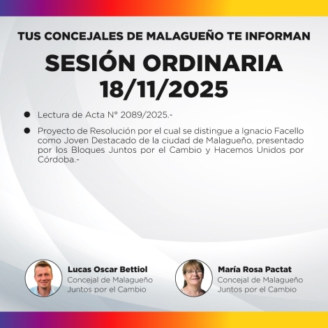 Sesión ordinaria 18/11/2025