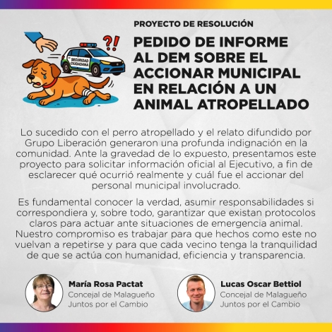 Proyecto de resolución - Pedido de Informe al DEM sobre el accionar municipal en relación a un animal atropellado difundido por Grupo Liberación